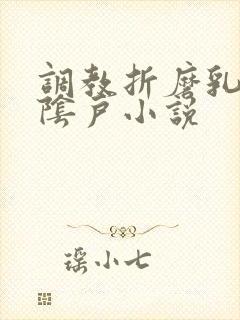 调教折磨乳头和阴户小说