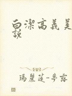 白洁高义美红小说