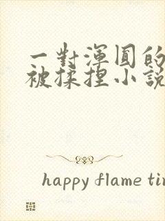 一对浑圆的胸乳被揉捏小说封面