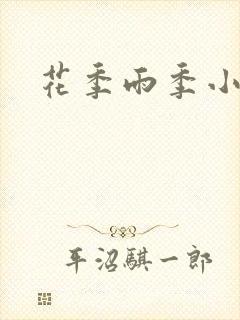 花季雨季小说