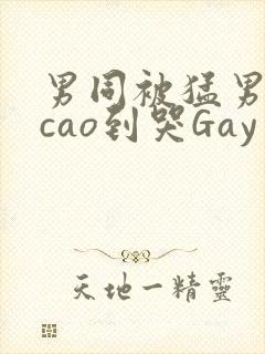 男同被猛男房东cao到哭Gay封面