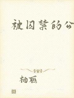 被囚禁的公主封面