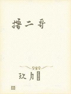撸二哥