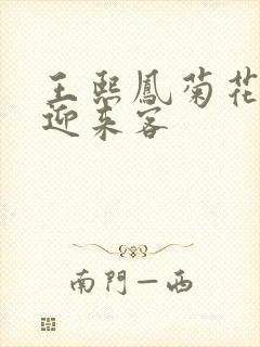 王熙凤菊花门初迎来客封面