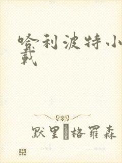 哈利波特小说下载封面