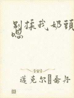 别揉我奶头啊～嗯