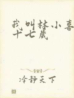 我叫林小喜今年十七岁
