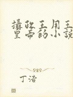 摄政王用玉髓整皇帝的小说