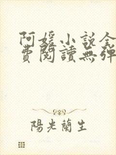 阿媛小说全文免费阅读无弹窗笔趣阁