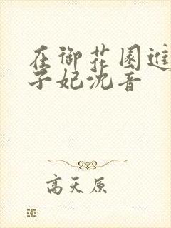 在御花园进入太子妃沈音