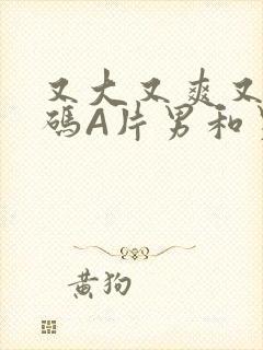 又大又爽又黄无码A片男和男