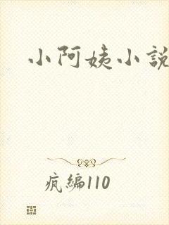 小阿姨小说