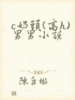 c奶头(高h)男男小说