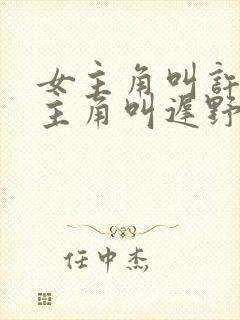 女主角叫许薇男主角叫迟野的小说名封面