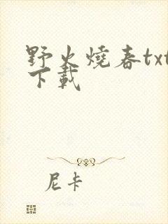 野火烧春txt下载