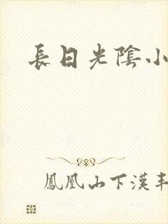 长日光阴小说