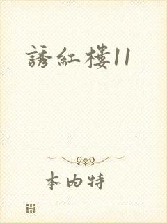 诱红楼11