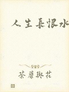 人生长恨水长东