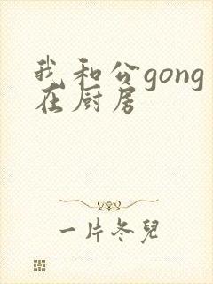 我和公gong在厨房