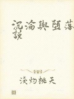 沉沦与堕落的小说