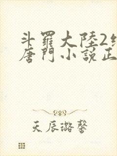 斗罗大陆2绝世唐门小说正版