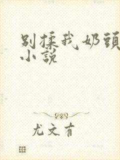 别揉我奶头嗯啊小说封面