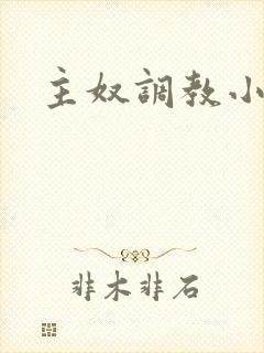 主奴调教小说封面