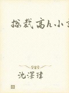 总裁高h小说封面