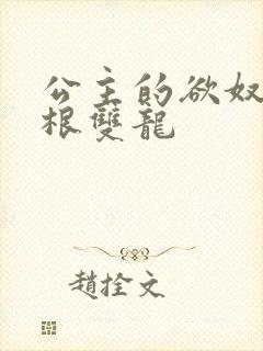 公主的欲奴h四根双龙