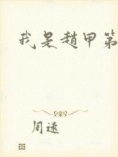 我是赵甲第小说