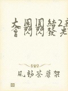 大团圆结2亲情会闪闪发光亲情会在线观看