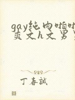gay纯肉啪啪爽文h文男男np封面