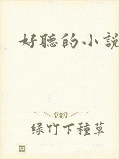 好听的小说名字