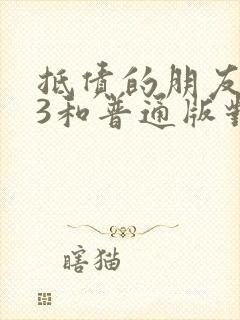 抵债的朋友麦子3和普通版对比