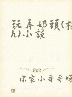 玩弄奶头(校园h)小说