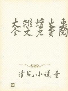 大杂烩火车小说全文免费阅读