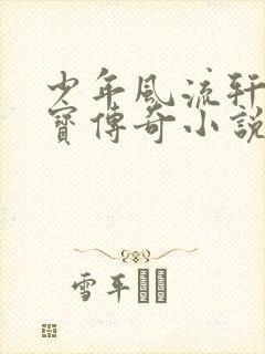 少年风流轩辕大宝传奇小说