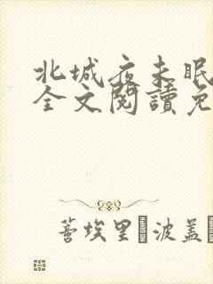 北城夜未眠小说全文阅读免费