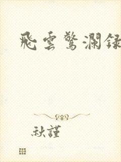 飞云惊澜录封面