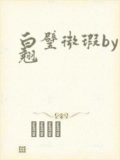 白璧微瑕by连翘封面