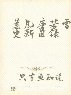 叶凡唐若雪正版更新目录封面