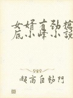 女婿有劲枪枪到底小峰小说