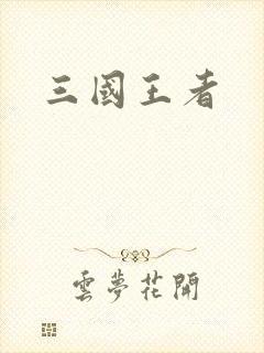 三国王者