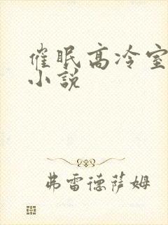 催眠高冷室友的小说