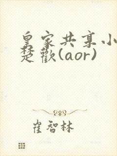 皇家共享小公主楚欢(aor)