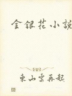 金银花小说乐可