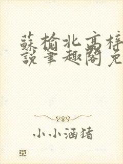 苏榆北高梓淇小说笔趣阁免费阅读