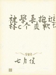 被学长抱进小树林c个爽软件