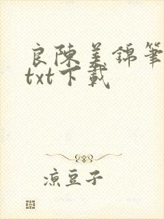 良陈美锦笔趣阁txt下载