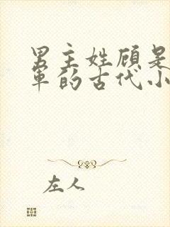 男主姓顾是个将军的古代小说